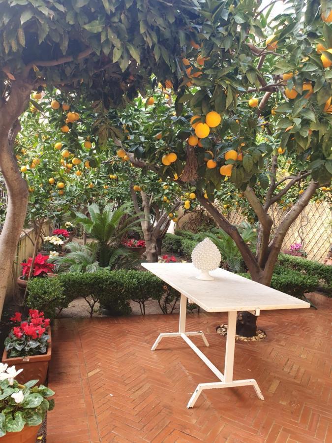 Villa Goethe Agrigento Zewnętrze zdjęcie